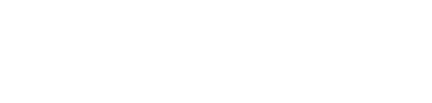 Team description 2